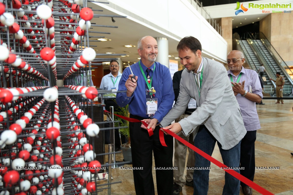 World's Largest Crystal Structure NaCl Unveiled