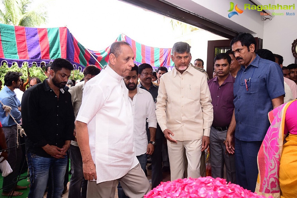 Celebrities Pay Homage To Nandamuri Harikrishna