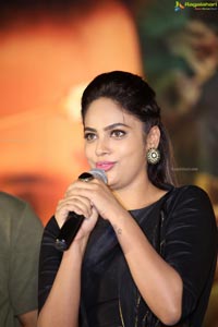 Srinivasa Kalyanam Press Meet