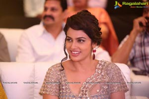 Srinivasa Kalyanam Success Meet