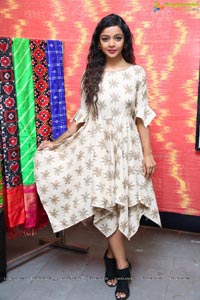 Nithya Shetty IKAT ART Mela