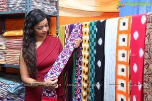 Nithya Shetty IKAT ART Mela