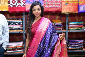 Nithya Shetty IKAT ART Mela