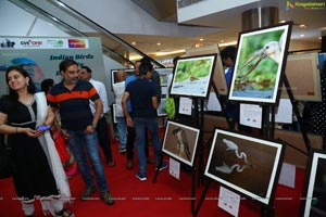 Indian Birds Photo Exhibition