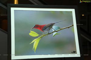 Indian Birds Photo Exhibition