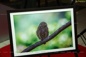 Indian Birds Photo Exhibition