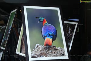 Indian Birds Photo Exhibition