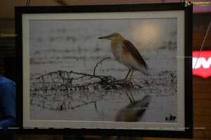 Indian Birds Photo Exhibition