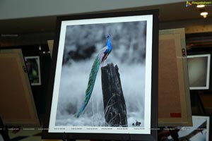 Indian Birds Photo Exhibition