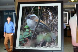 Indian Birds Photo Exhibition