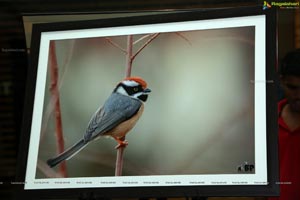 Indian Birds Photo Exhibition