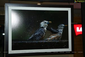 Indian Birds Photo Exhibition