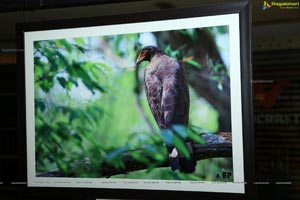 Indian Birds Photo Exhibition