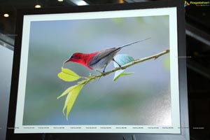 Indian Birds Photo Exhibition