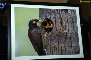 Indian Birds Photo Exhibition