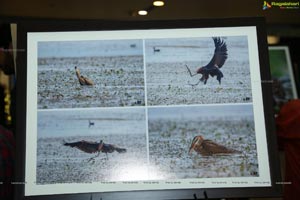 Indian Birds Photo Exhibition