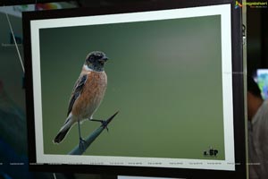 Indian Birds Photo Exhibition