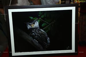 Indian Birds Photo Exhibition