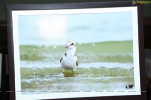 Indian Birds Photo Exhibition