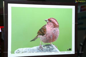 Indian Birds Photo Exhibition