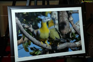 Indian Birds Photo Exhibition