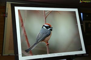 Indian Birds Photo Exhibition