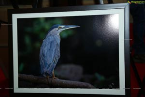 Indian Birds Photo Exhibition