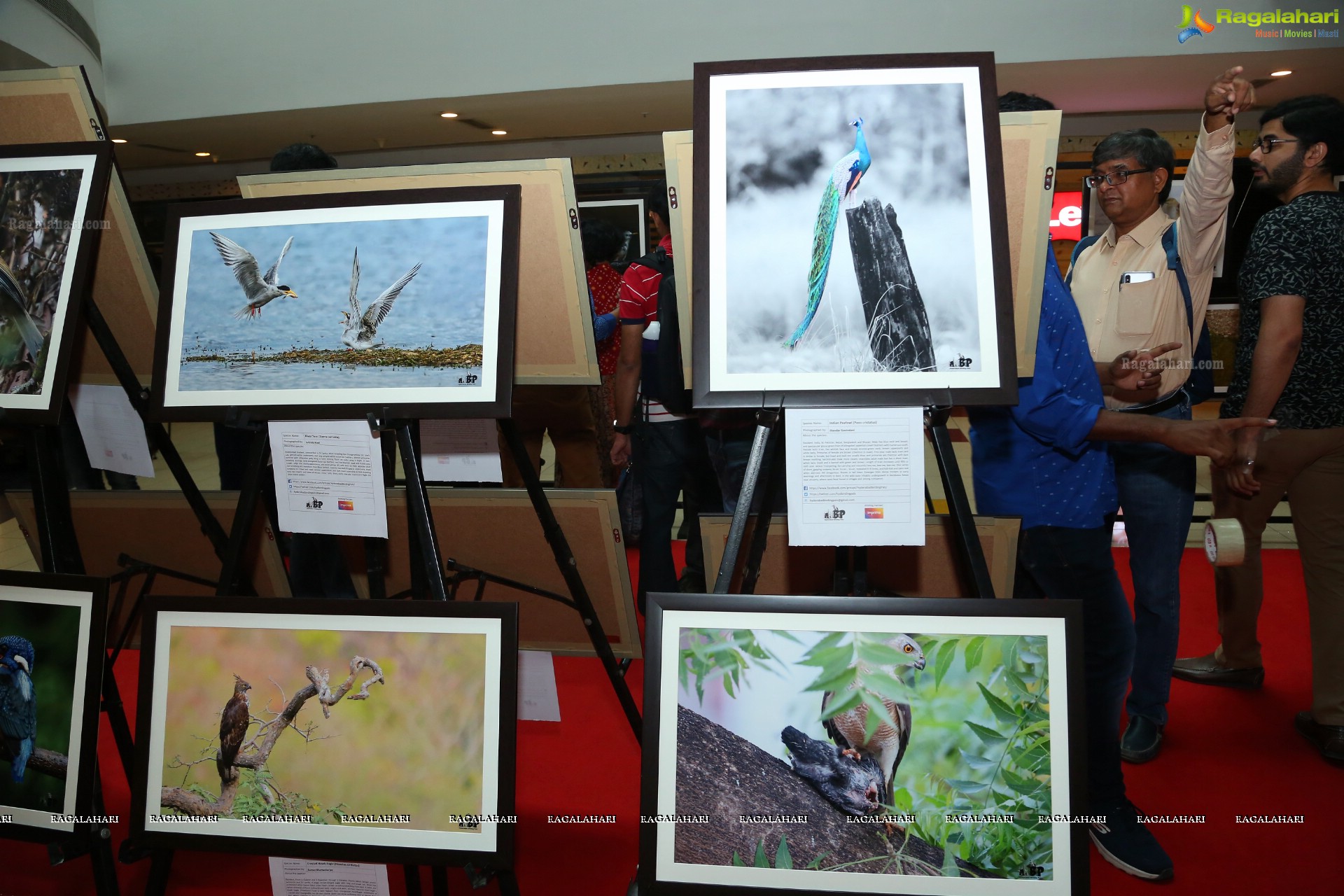 Indian Birds Photo Exhibition at Exotica Atrium, GVK One Mall, Hyderabad