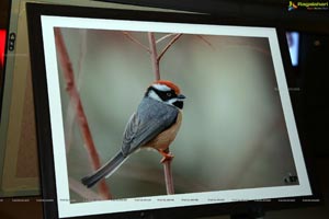 Indian Birds Photo Exhibition