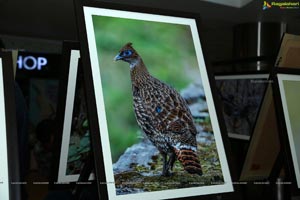 Indian Birds Photo Exhibition