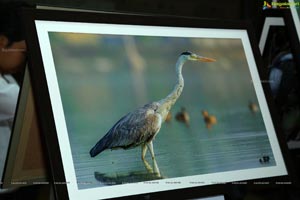 Indian Birds Photo Exhibition