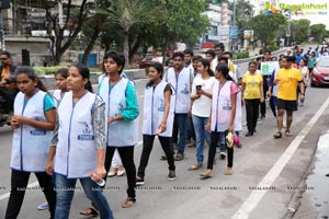 Peace Walk by Rotary International, Dist-3150 at KBR Park