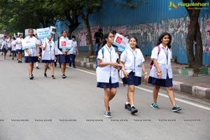 Peace Walk by Rotary International, Dist-3150 at KBR Park