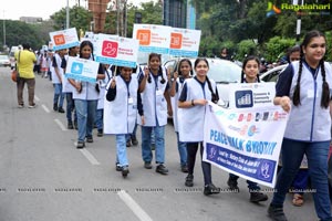 Peace Walk by Rotary International, Dist-3150 at KBR Park