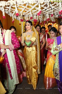 Raj Arun-Animisha Wedding Ceremony at JRC