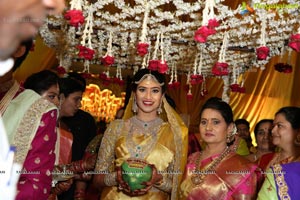 Raj Arun-Animisha Wedding Ceremony at JRC