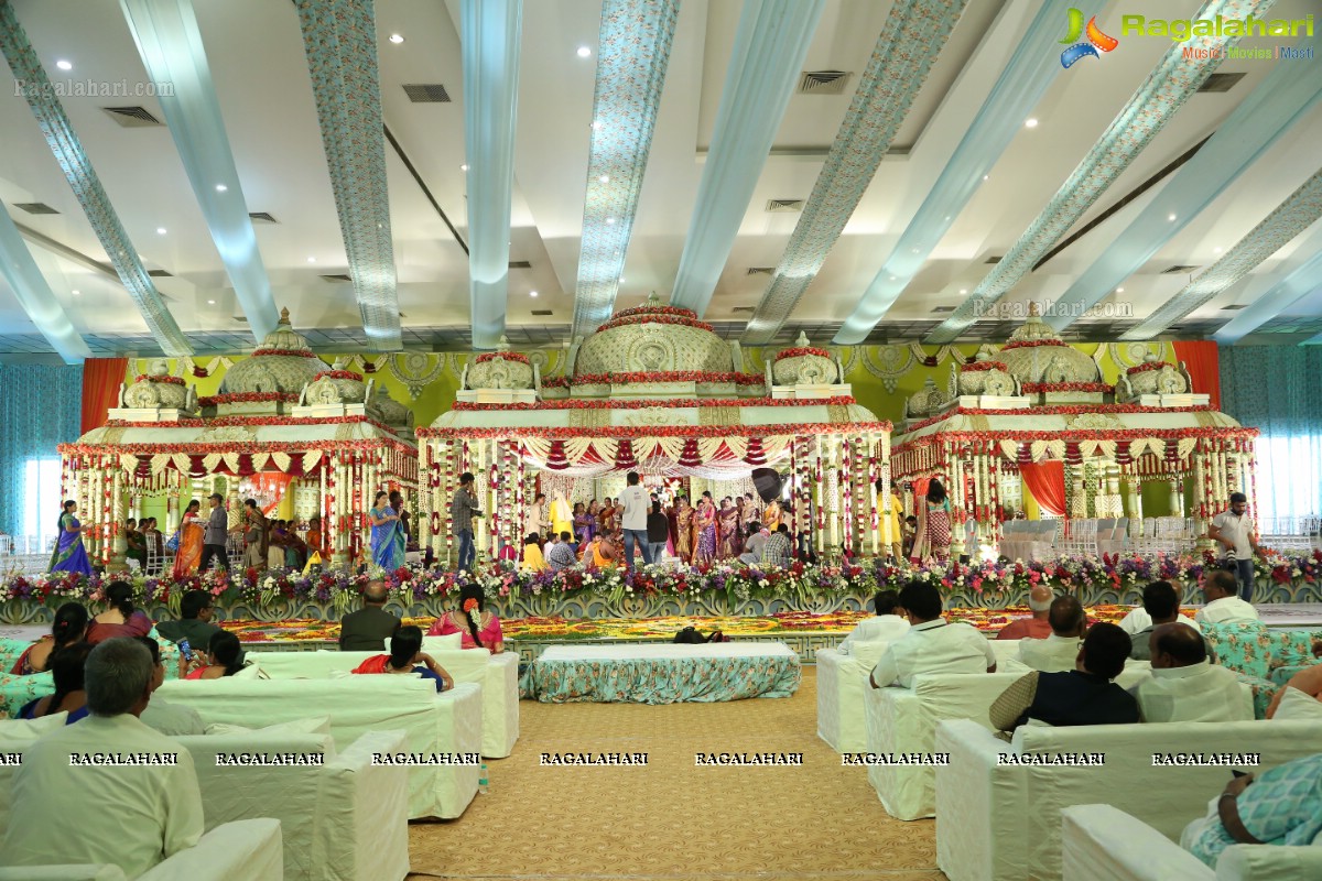 Saipriya Sattoor-Abhilash Malagani Wedding Ceremony at SS Convention