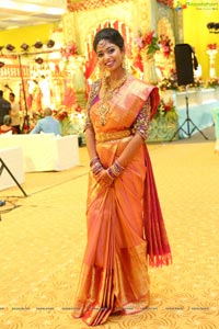 Saipriya Sattoor-Abhilash Malagani Wedding Ceremony