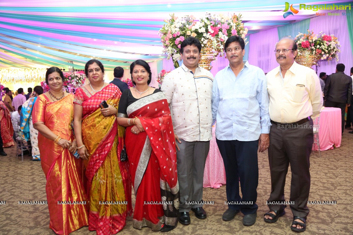 Grand Wedding Reception of Saipriya Sattoor and Abhilash Malagani at Sandhya Convention