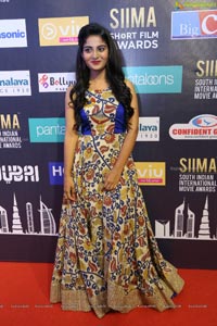 SIIMA 7th Edition Short Film Awards