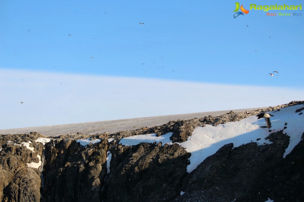Suchirindia Lion Kiron North Pole Arctic Expedition