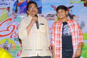 Annapurnamma Gari Manavadu Movie Press Meet