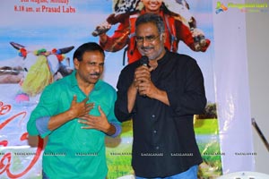 Annapurnamma Gari Manavadu Movie Press Meet