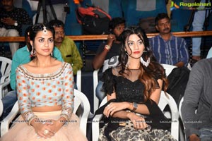 Edaina Jaragochu Pre-Release Event