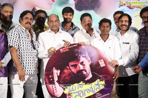 Nenu Naa Nagarjuna Movie Audio Launch