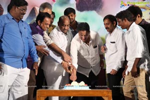 Nenu Naa Nagarjuna Movie Audio Launch