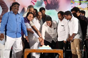 Nenu Naa Nagarjuna Movie Audio Launch