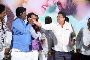 Nenu Naa Nagarjuna Movie Audio Launch