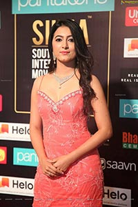 SIIMA 2019