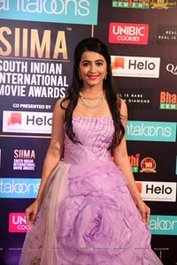 SIIMA 2019 Day 2